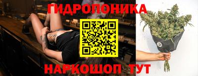 шишки Железноводск