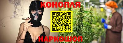 шишки Железноводск