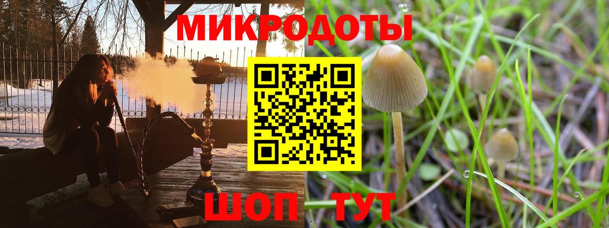 Галлюциногенные грибы Cubensis Гудермес