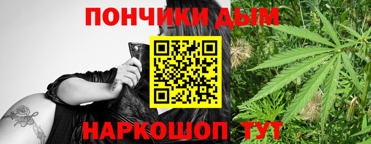 Гудермес  Бошки марихуана ГИДРОПОН  Марихуана сатива  Вход с VPN 
